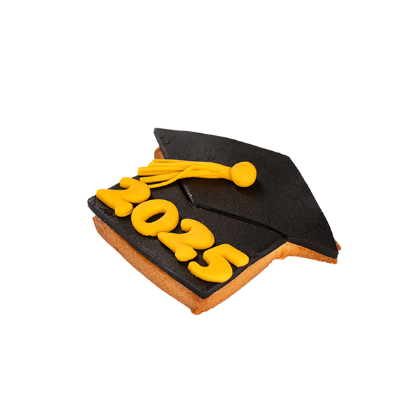 Graduation Cookies 8