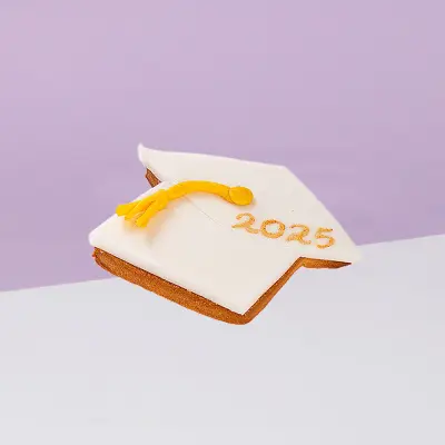 Graduation Cookies 4