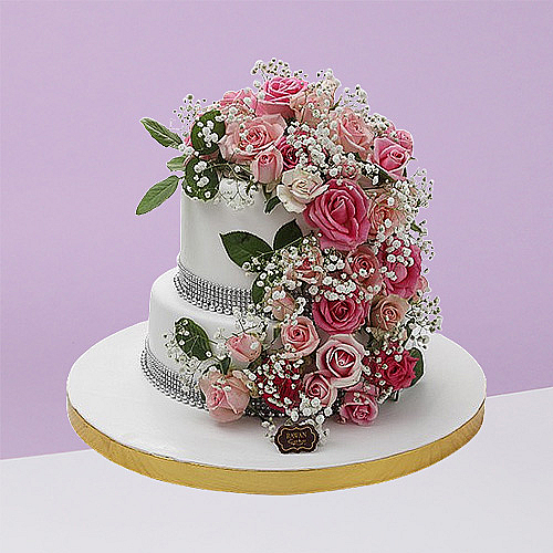 Engagements & Weddings 9