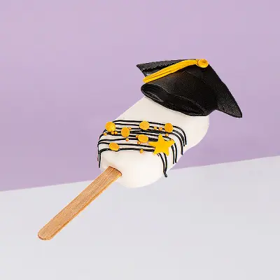  Graduation Chocolate Balls 4