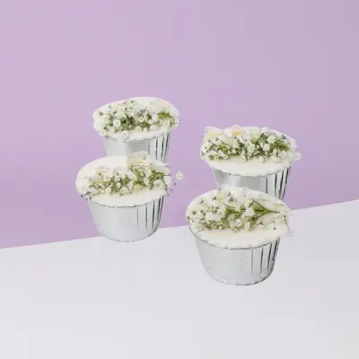 Cup Cake Rose