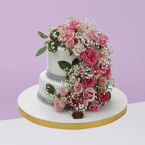 Engagements &amp; Weddings 9