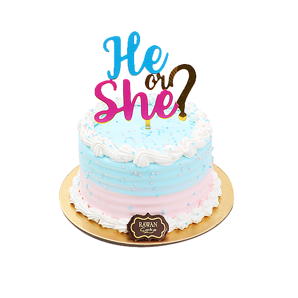 Gender Reveal 3