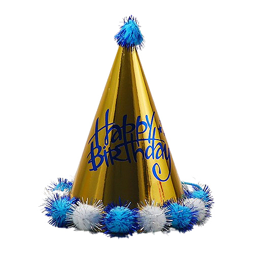 Small Party Hat 11