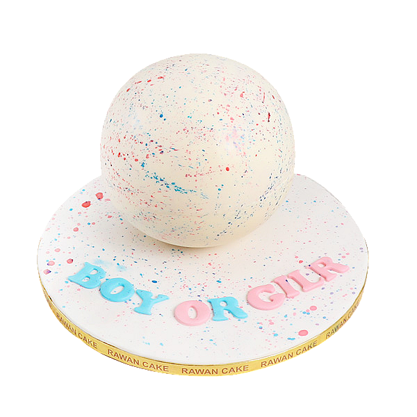 Gender Reveal  pinata