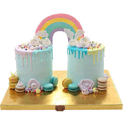 Twins Cake 5