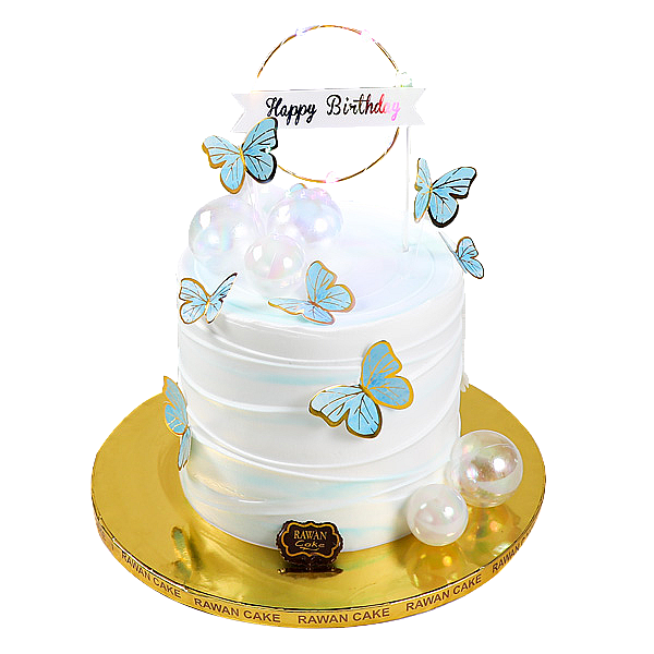 Butterfly 11