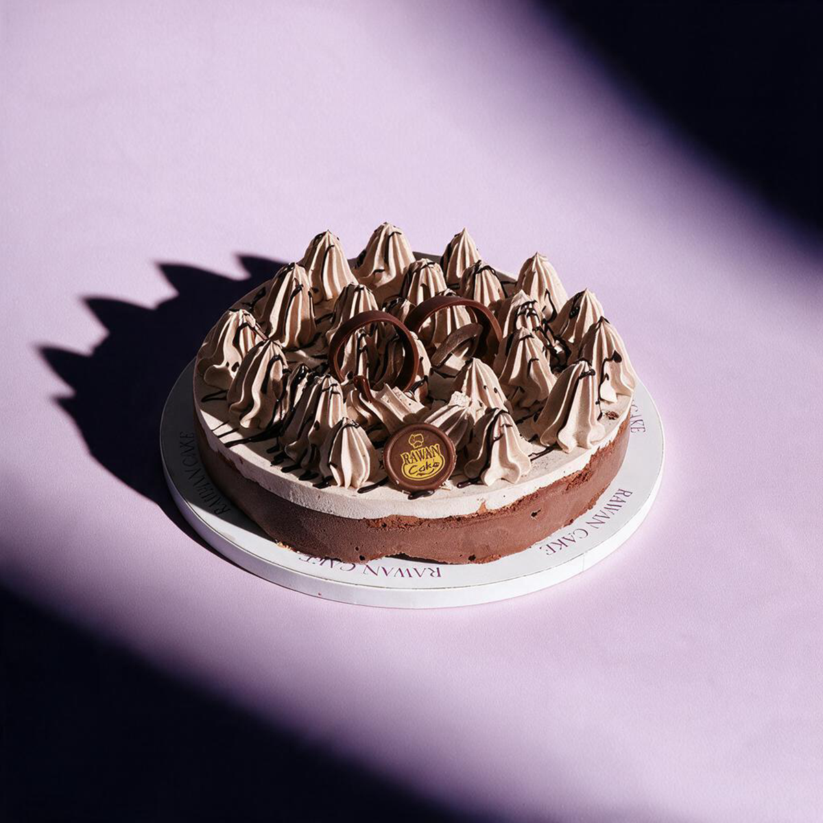 Dark Chocolate Ice Cream Cake