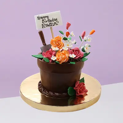 Spring Blooms