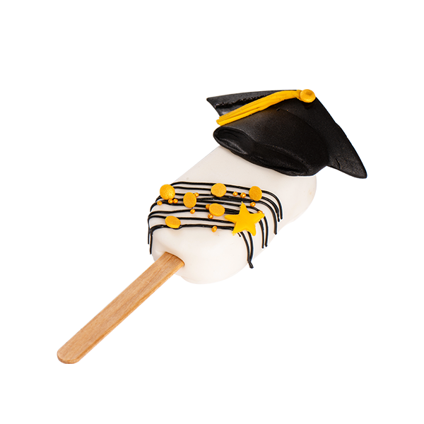  Graduation Chocolate Balls 4