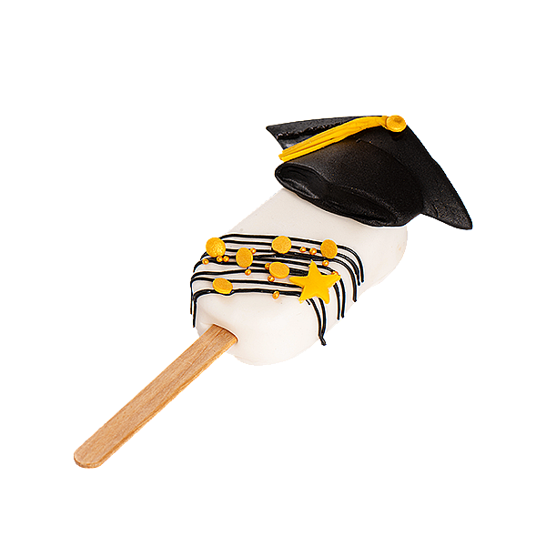  Graduation Chocolate Balls 4