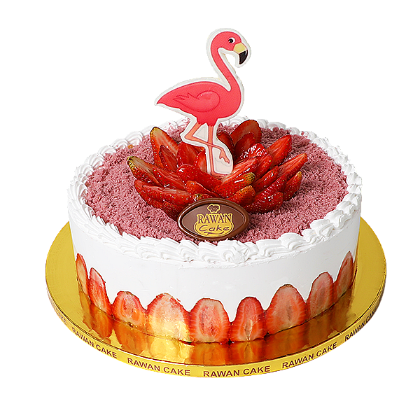 Variegate Strawberry Sponge