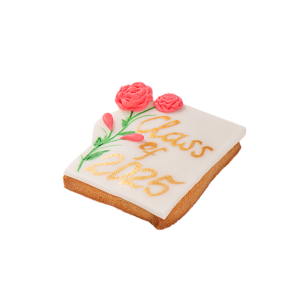 Graduation Cookies 2