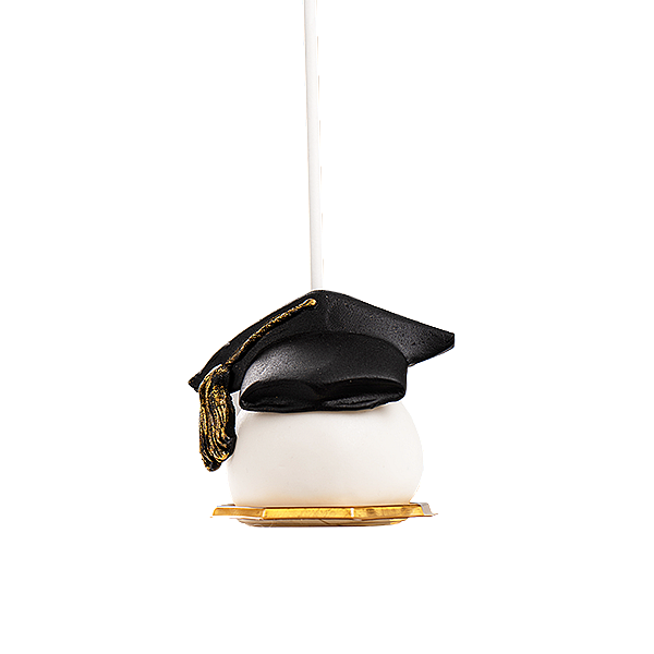  Graduation Cake Pops 2