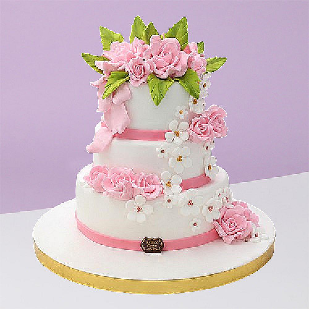 Engagements & Weddings 14