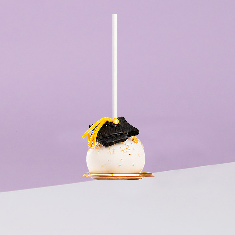  Graduation Cake Pops 1