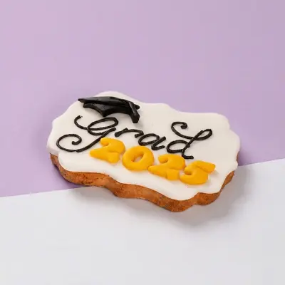 Graduation Cookies 3