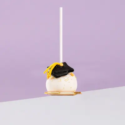  Graduation Cake Pops 1