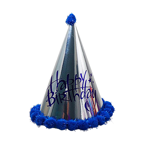 Large Party Hat 4