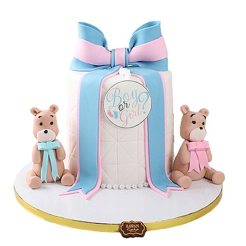 TWINS CAKE 4