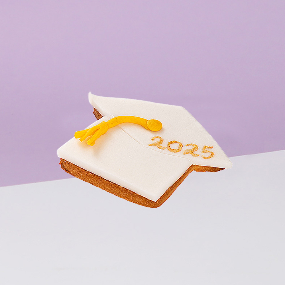 Graduation Cookies 4
