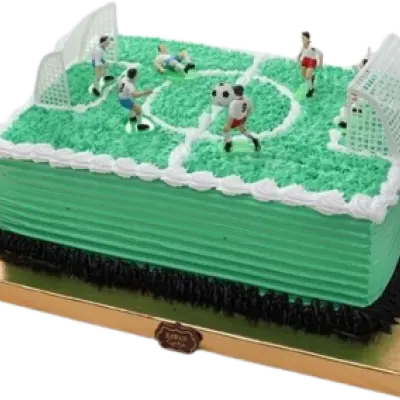 Football field 3