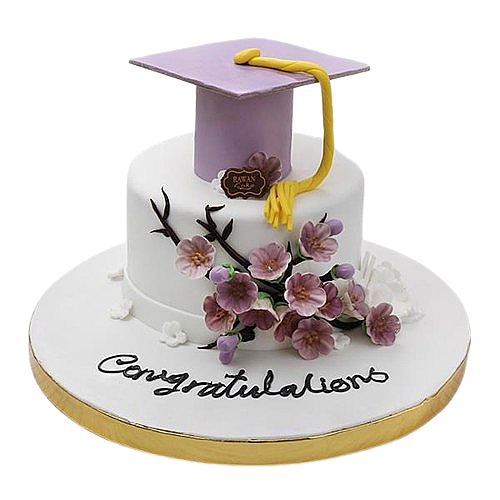 graduation cake 10