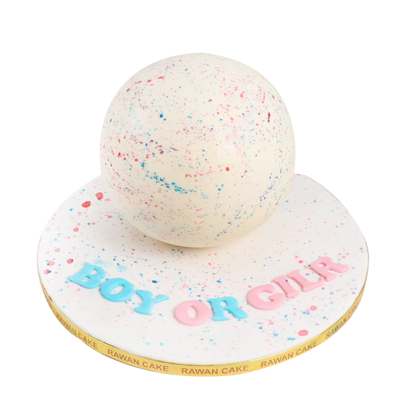 Gender Reveal  pinata