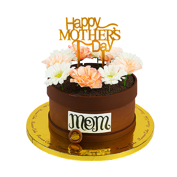 Mothers Day (Flowers) 8