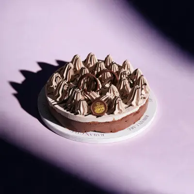 Dark Chocolate Ice Cream Cake