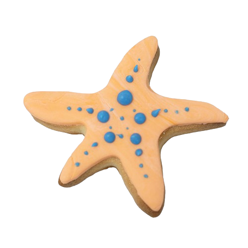 Sea Star